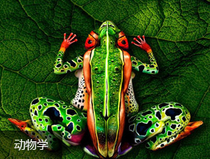 康道產(chǎn)品
